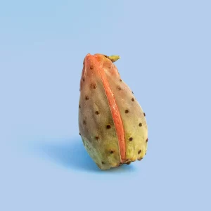 Frutta gelato gusto fico d'india - 0,5 Kg (5-7 Pezzi)